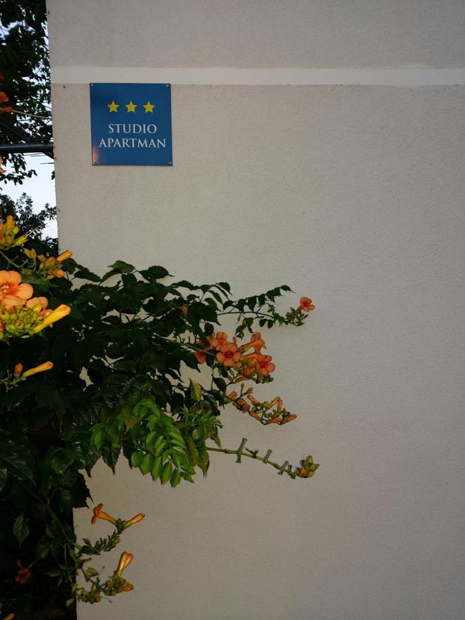 Studio Apartman Kotro Beli Manastir Exterior foto
